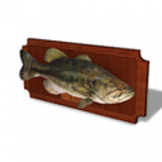 Winter 2011 - Bass Fishing Plaque